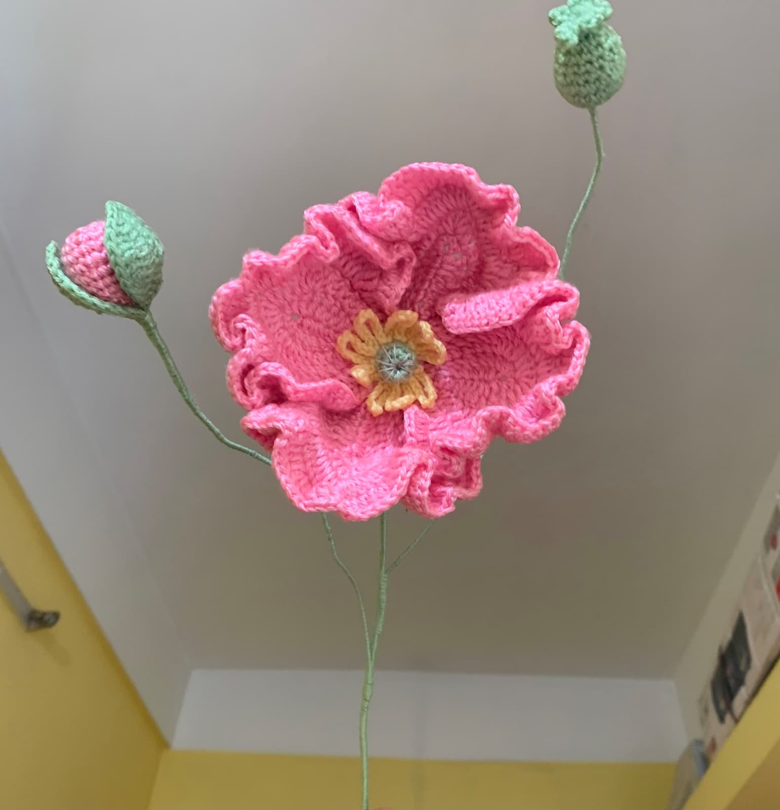 Poppy flower