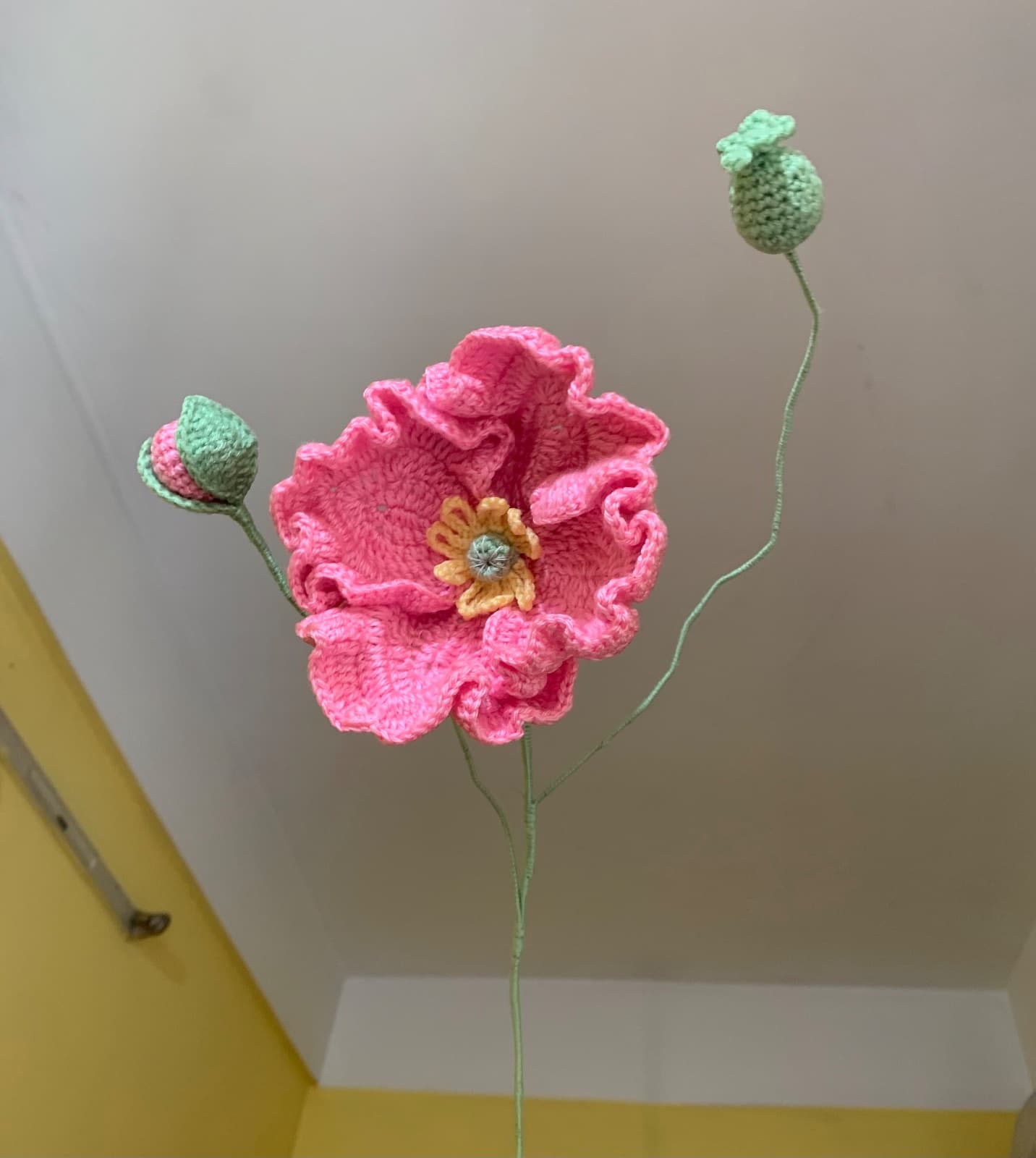 Poppy flower — 2