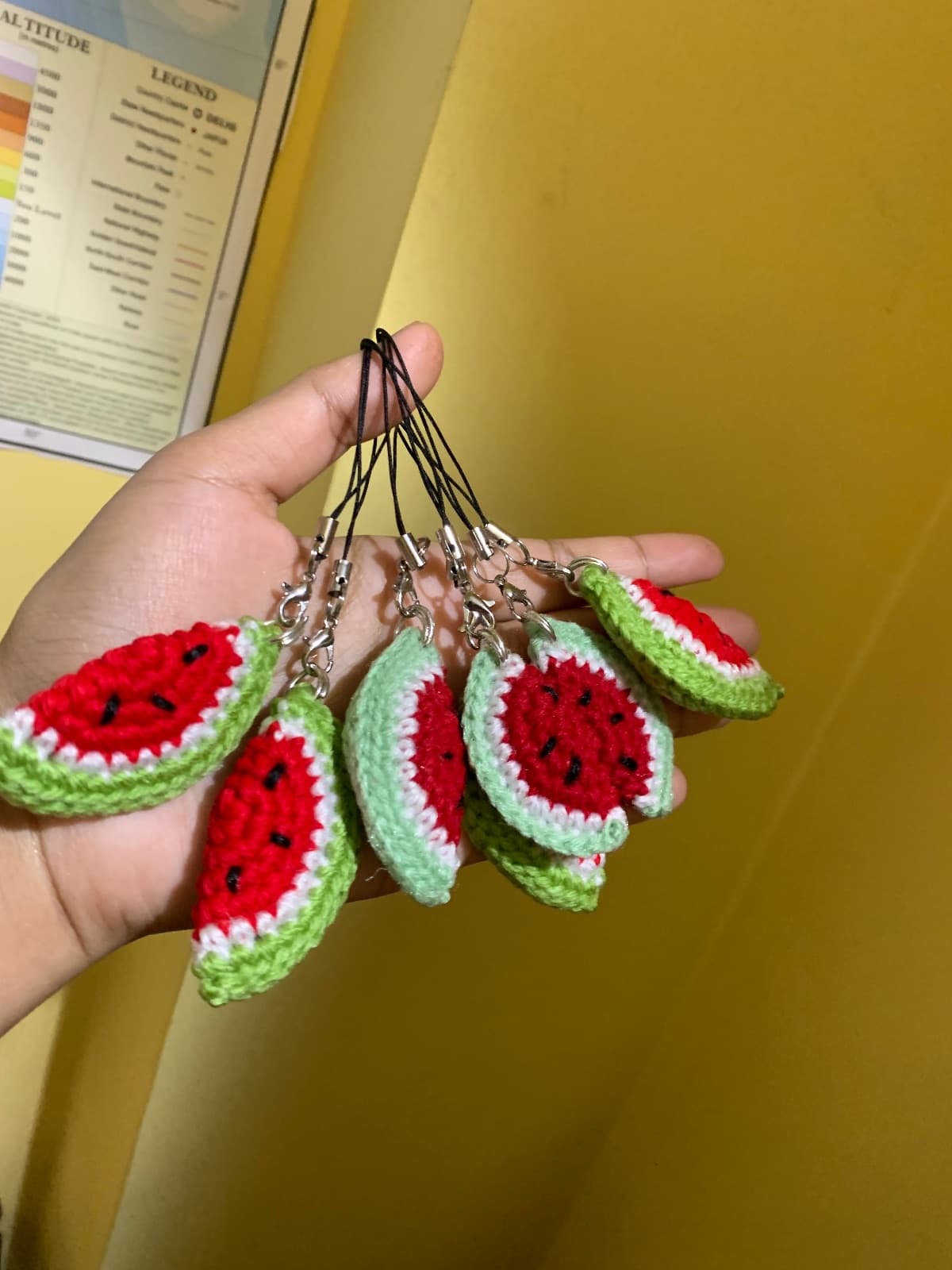 Watermelon phonecharm(pack of One)